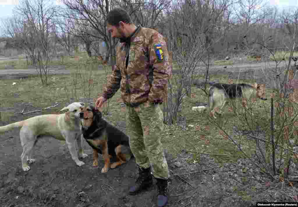 Украинский военнослужащий стоит рядом с собаками на боевых позициях на линии разграничения в селе Пески Донецкой области, 8 апреля 2021 года